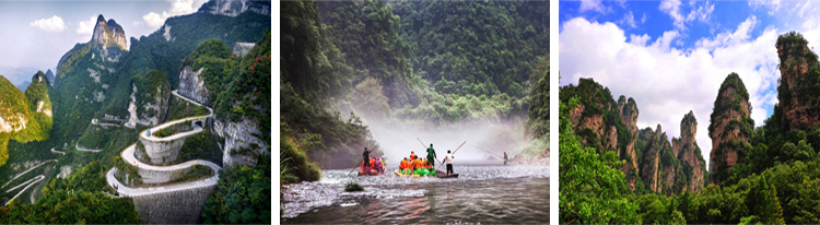 張家界跟團游,張家界自由行,張家界自駕游,張家界中國國際旅行社有限公司